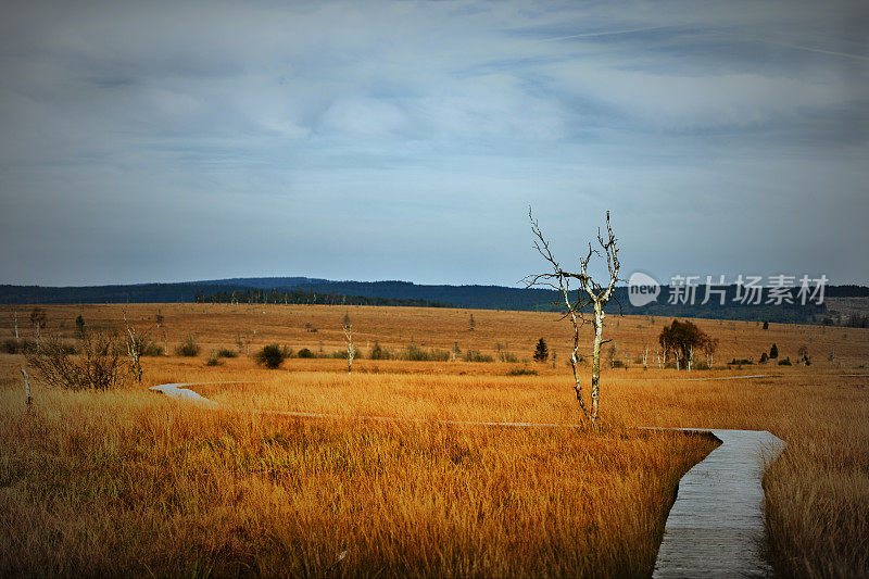 Hautes Fagnes 和 Baraque Michel